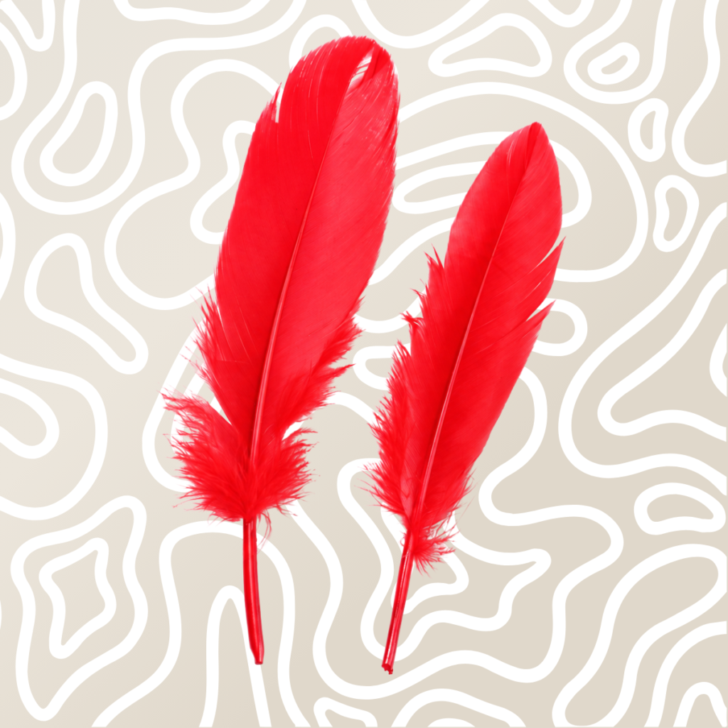 Kit BDSM Antifaz Esposas Y Pluma Para Parejas Rojo