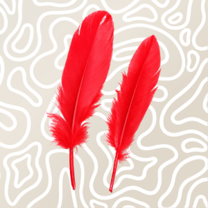 Kit BDSM Antifaz Esposas Y Pluma Para Parejas Rojo: imagen 10